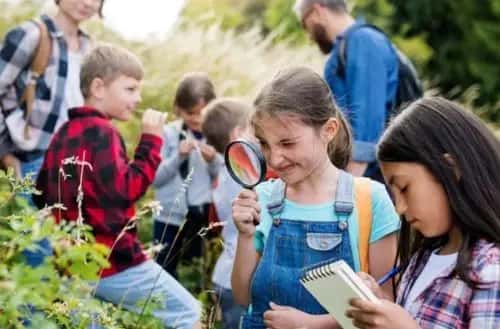 Why Are Educational Trips Important for School Students